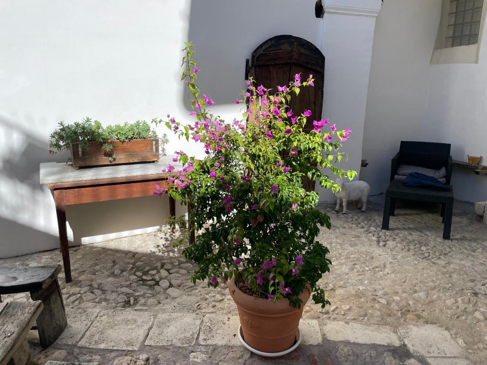 Piazzetta Del Forno Appartamento Assergi Exteriör bild